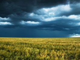 Inmet alerta para chuvas intensas em Goiás, Minas Gerais e mais 17 estados nesta terça