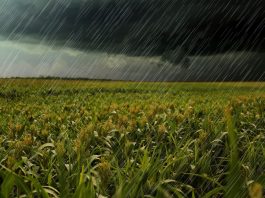 Alerta de tempestade para Santa Catarina, Paraná, Mato Grosso do Sul e Rio Grande do Sul nesta terça-feira