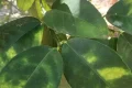 unnamed-file-12